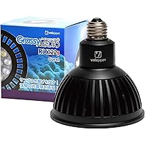 ボルクスジャパン グラッシーレディオ RX122s CR 2個セット 楽天市場】【新商品】 ボルクスジャパン グラッシーレディオ